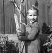 Majskolv i kolonin. 1947