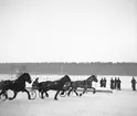 Travpremering första söndagen. 1946