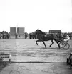 Premering för höstmeetingen.
Travet den 26/8 -1947