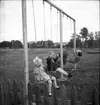 Premering för höstmeetingen.
Travet den 26/8 -1947