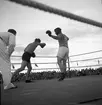 Ollie Tandberg på utställningen. 1946