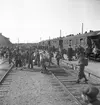 Godtemplar SM i orientering. 1946
