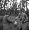 Godtemplar SM i orientering. 1946