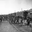 Godtemplar SM i orientering. 1946