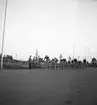 T.T. Loppet. (cykellopp) 27/6 - 1946