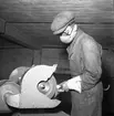 Firma Hård Metall, Ockelbo. 1946