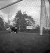 Pastor Davidsson. GIF. 1946
