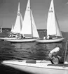 SM i segling. 1946