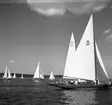 SM i segling. 1946