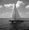 SM i segling. 1946