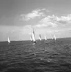 SM i segling. 1946