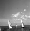 SM i segling. 1946