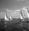 SM i segling. 1946