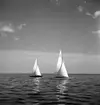 SM i segling. 1946