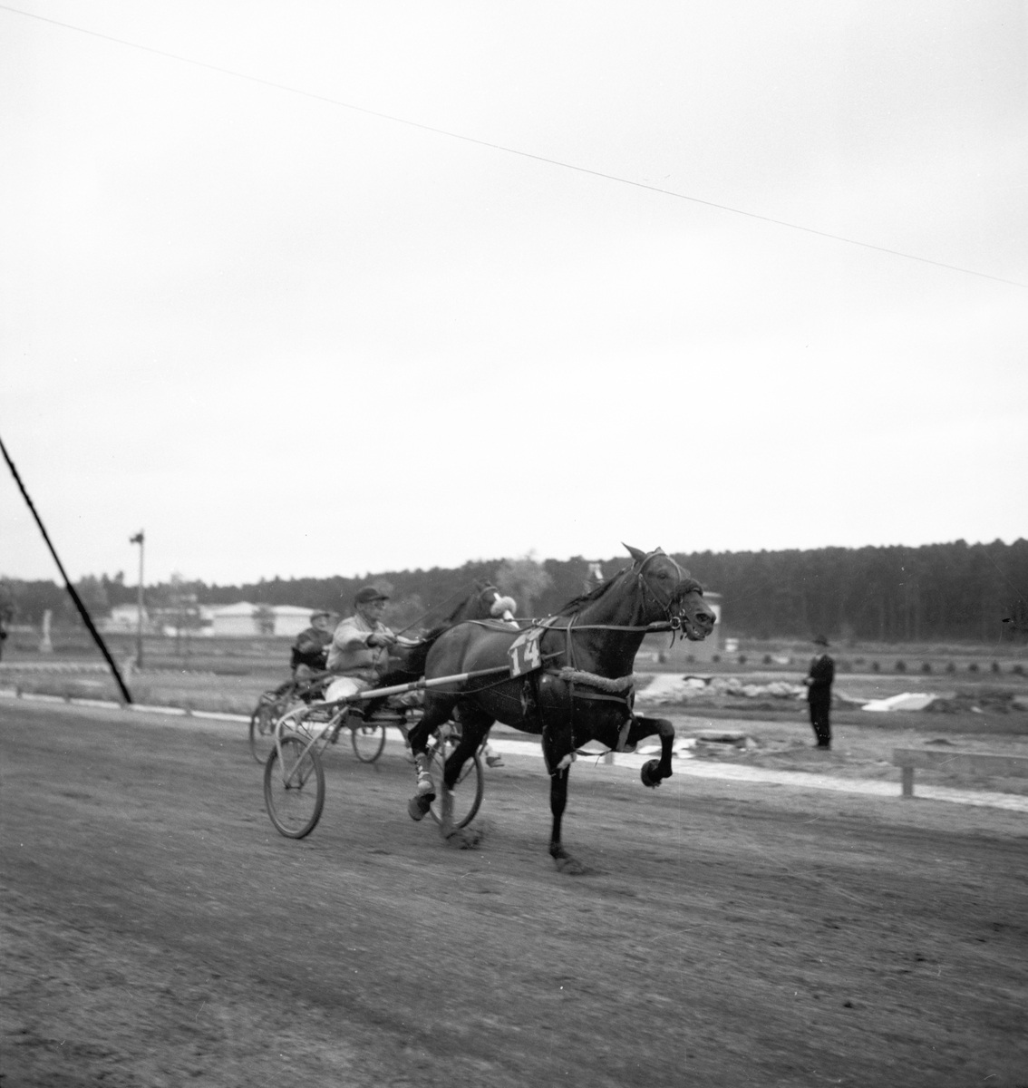 Trav den 25/8 1946.
Bellcore & Westergren vinner på 1.24,7/1 960 meter före Scotchman.