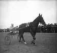 Amatörloppet, travet 14/4 1946.