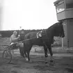 Amatörloppet, travet 14/4 1946.
