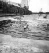 Isvak. 1946