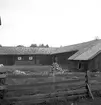 Gammelgården i Åbyggeby. 1943