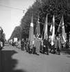 Norges dag.

16 maj 1943