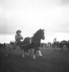 Barnens Dag i Gävle. 1943