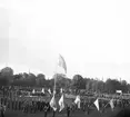Svenska Flaggans Dag. 1943