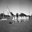 Sofiaflickorna. 1943