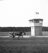 Travet 14/3 1943.

Fjärde söndagen, i första meetinget.
Lopp 2: Queen Duffy vinner före Gaylanté.
Lopp 4: Vinnare: Faney Glow