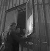 Distriksmästerskap i terräng. 1943
