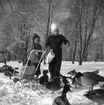Två flickor matar änder. 1943