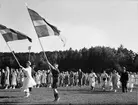 Svenska Flaggans dag firas på Studenternas Idrottsplats