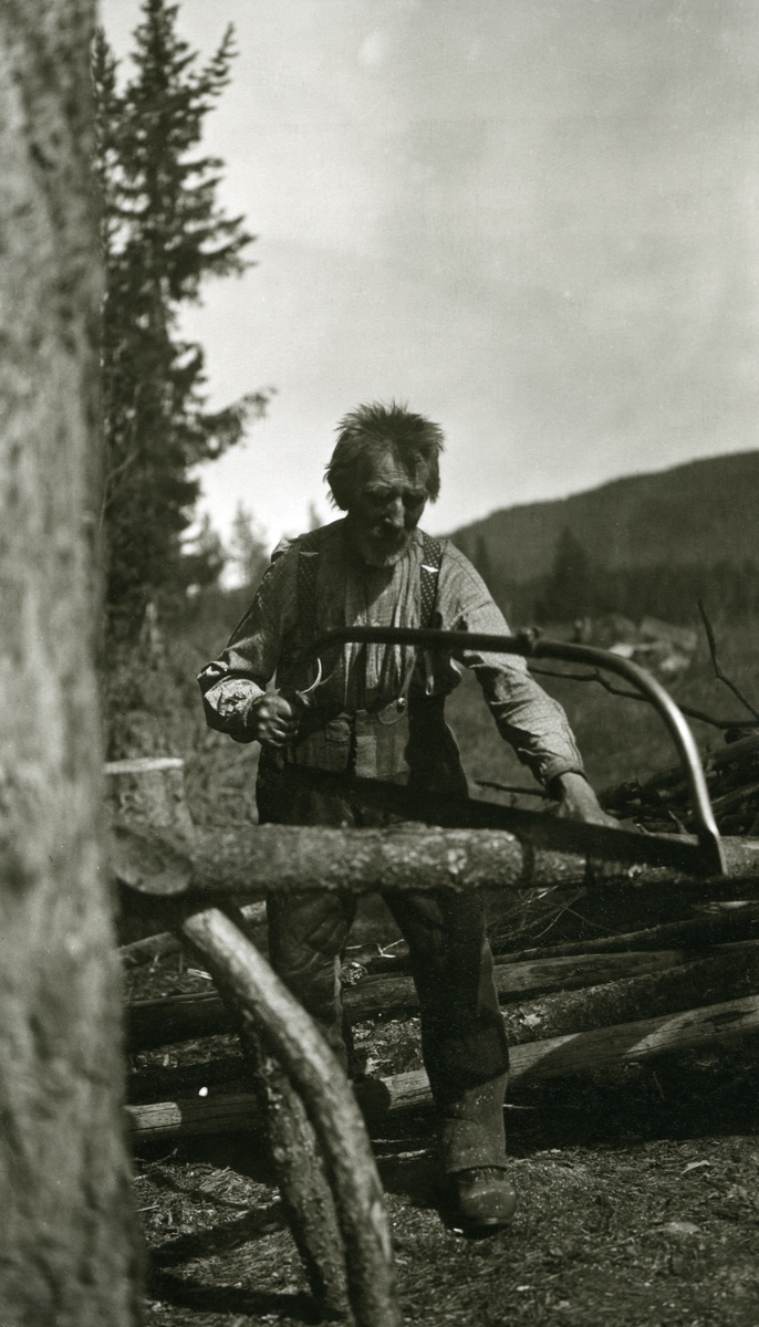 Johan Embretsen Vallset (Vallset'n) (13/3 1837 - 1925)