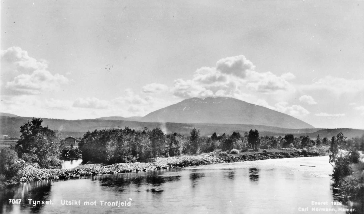 Postkort, naturforhold. Tynset. Utsikt mot Tronfjell.