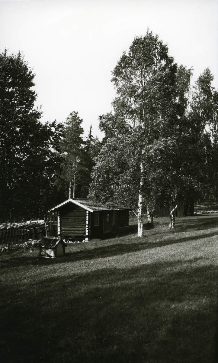 Lita stue, hundehus til venstre, uthus til høyre (nesten skjult bak trærne). Galåsen (?)