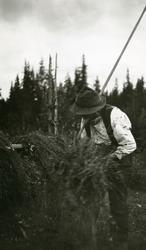 Ljøstad-Børe  (13/9 1827 - 19/3 1925) (Børe Gjermundsen Lang