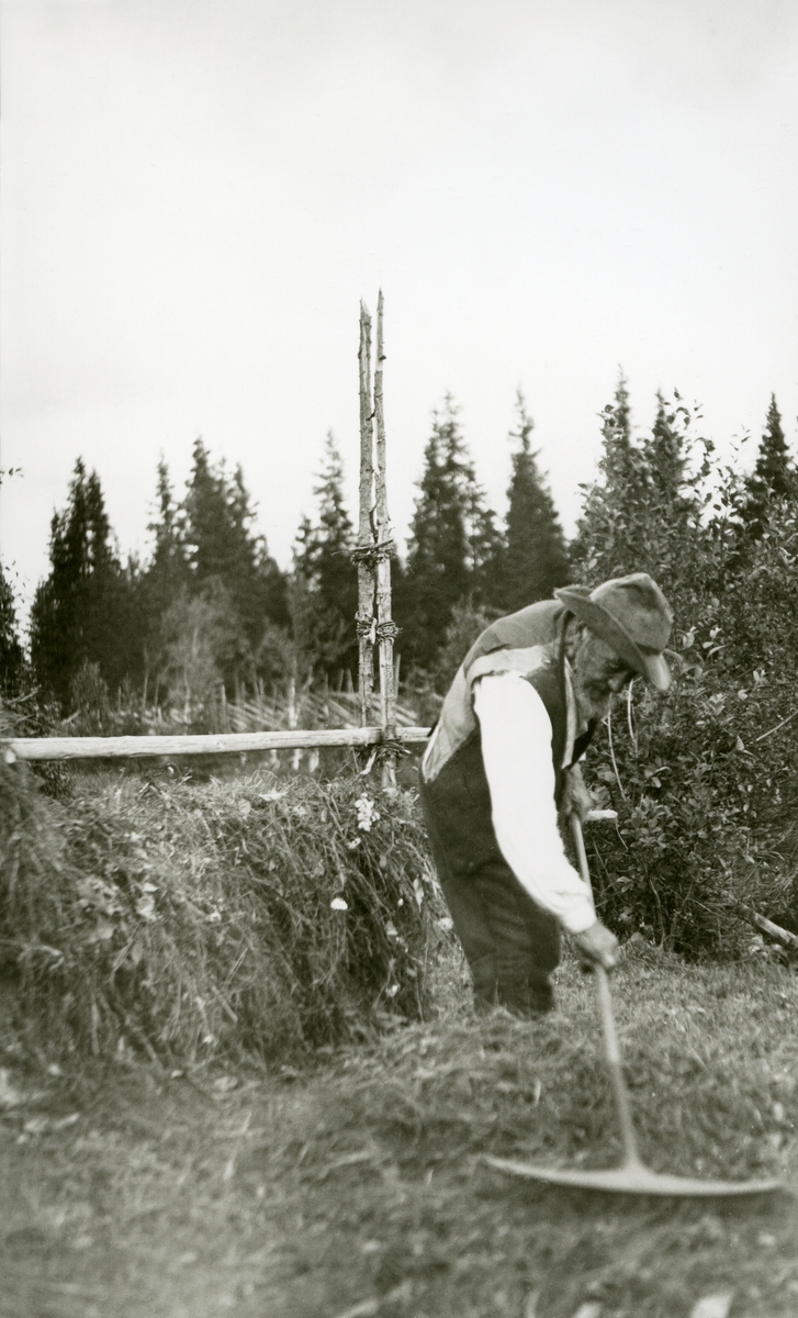 Ljøstad-Børe  (13/9 1827 - 19/3 1925) (Børe Gjermundsen Langtjernåsen). Granvold (Børes), Langtjønnåsen.