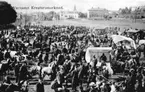 Värnamo kreaturmarknad tidigt 1900-tal.