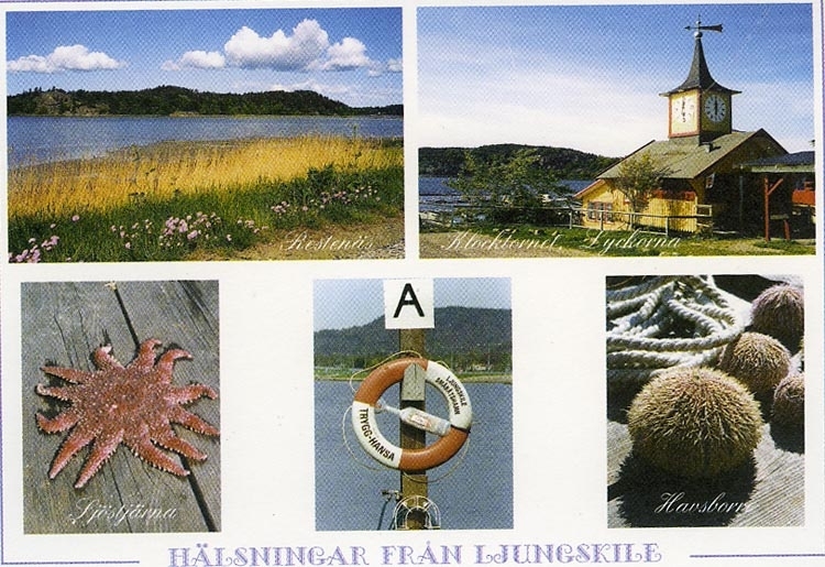 Enligt Bengt Lundins noteringar: "Hälsning från Ljungskile. 5-Bild. Restenäs. Klocktornet, Lyckorna. Sjöstjärna. Havsborre"