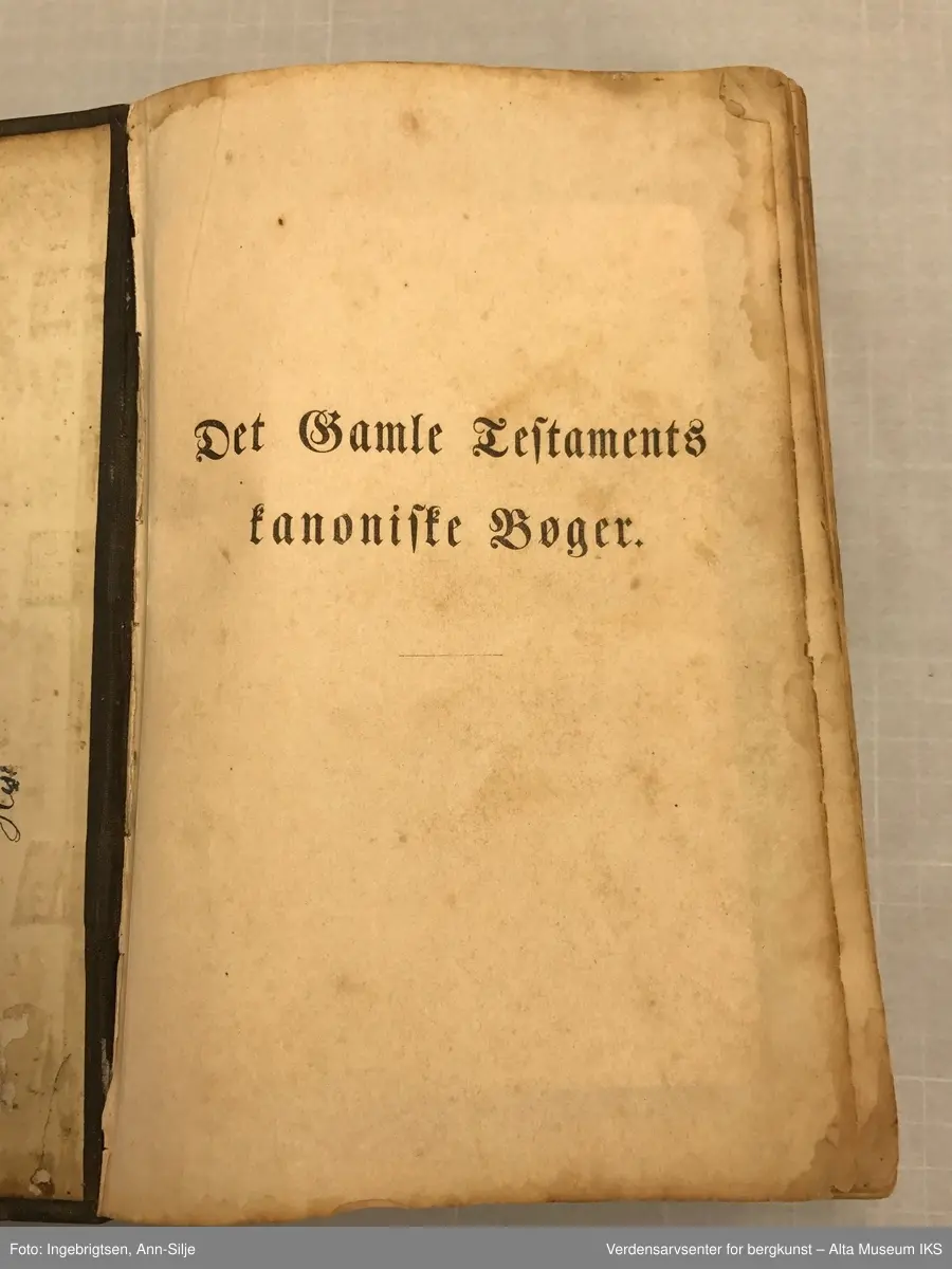Stor bibel med skinntrekk. På permen er det kartusjmotiv.