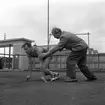 Eve Matsson instruerar på Örnsro.
Juni 1956.