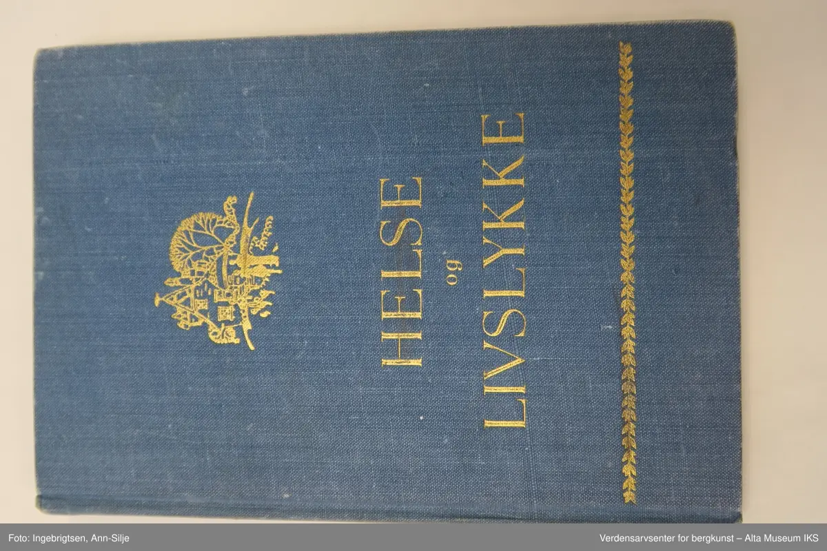 Bok med blå perm. På forsiden er det et motiv av et hus med et stort tre i bakgrunnen, og et par som går mot huset.
