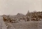 Grupporträtt av soldater vid Svea livgarde I 1 på fältmanöver i Dalarna 1897.