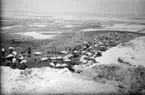 Sjöfåglar. Svanor med massor av andra fåglar vid stranden, vackert fotografi.