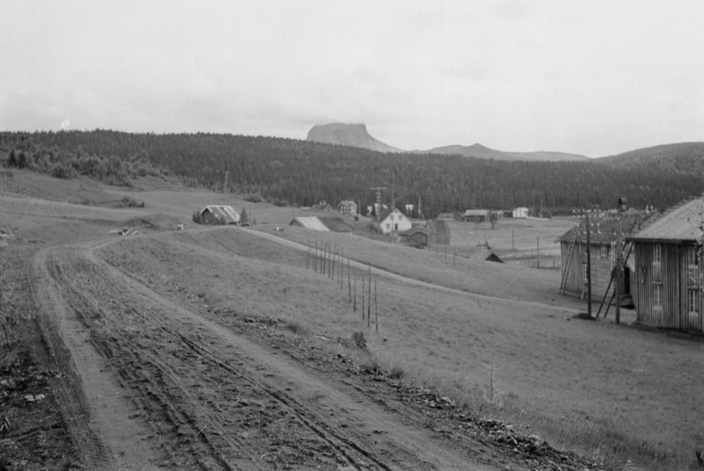 Hattfjelldal sentrum, bebyggelse, vei.