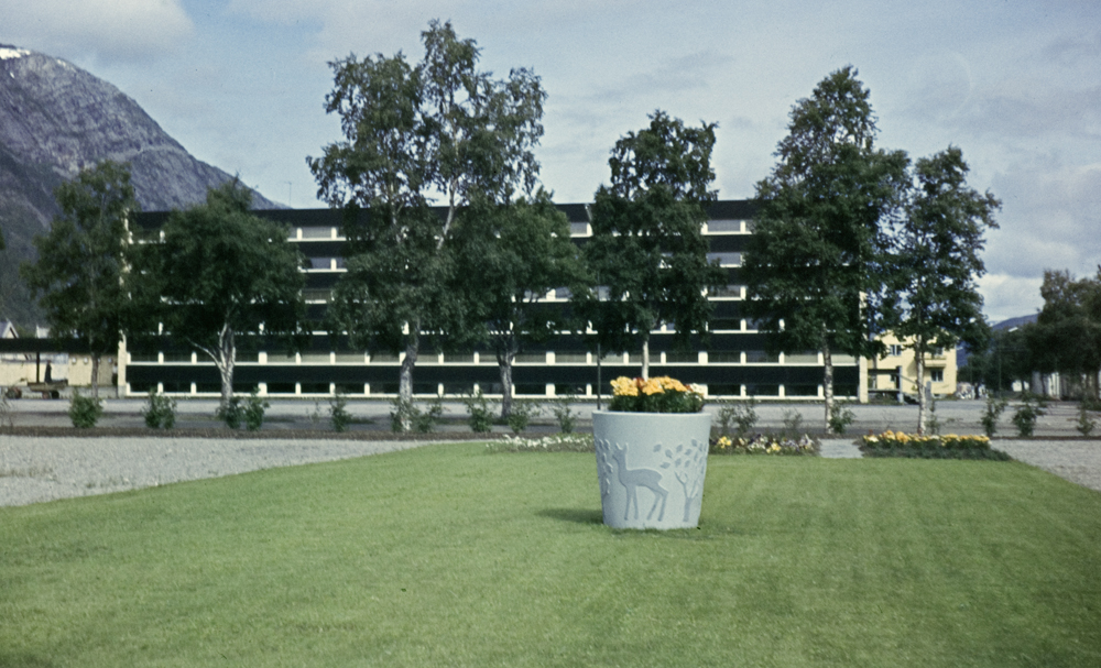 Parken med Gymnaset i bakgrunnen.