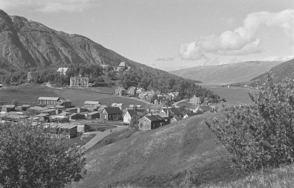 Nesbruket, Mange båter ved kaia, Toppen. Flere bilder.