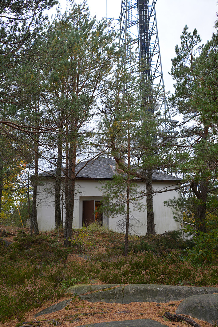 Randvikheia radiolinjemast ved Risør, er 59 meter. Det var en radiolinjestasjon på linjen mellom Oslo og Kristiansand over Fredrikstad, et smalbåndsanlegg på UHF-basis med båndbredde tilsvarende 60 telefonkanaler. Radiolinjen ble brukt til teletrafikk. Masten fikk TV-sender som ble satt i drift 3. oktober 1997.