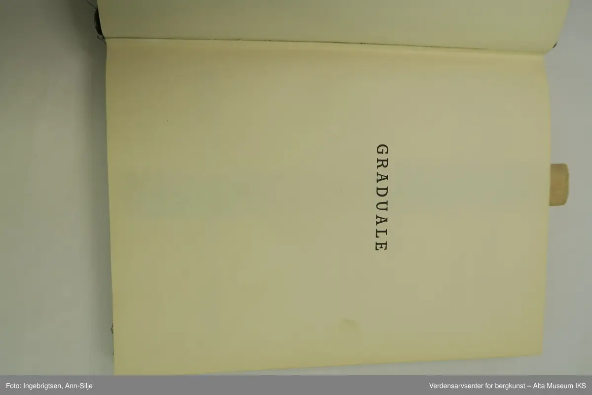 Form: Illustrert notebok.
