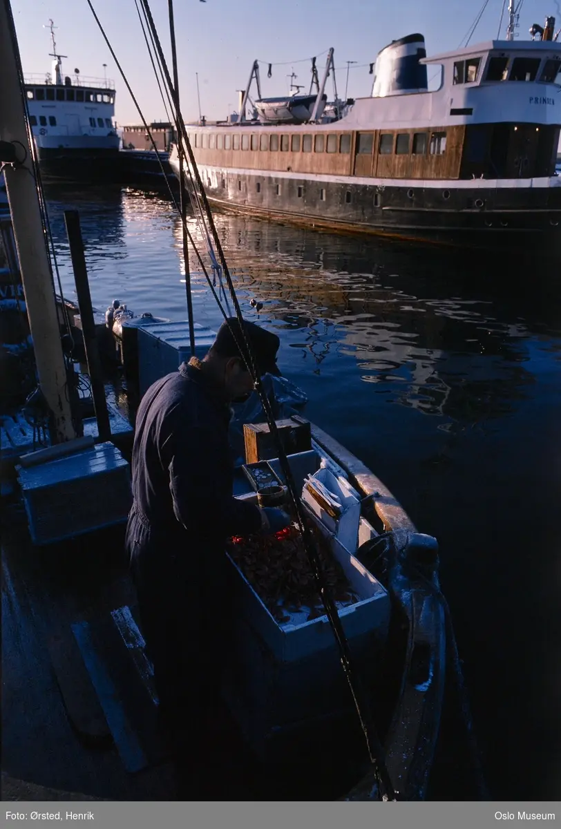 fiskebåt, mann, fisker, reker, Nesoddbåt Prinsen