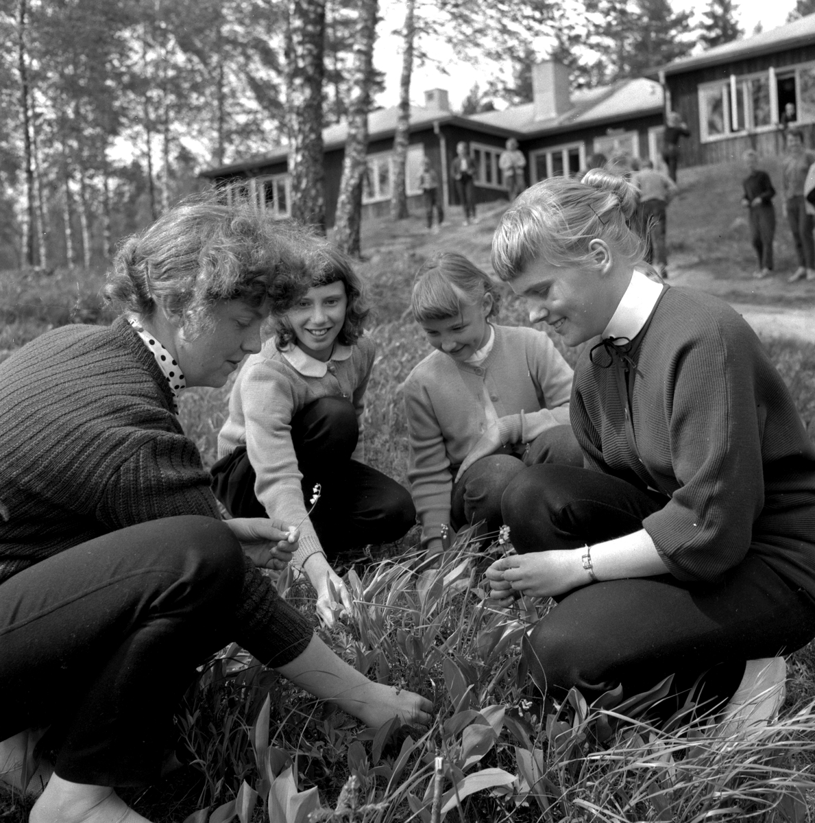 Reportage från Hästnäs.
Juni 1956.